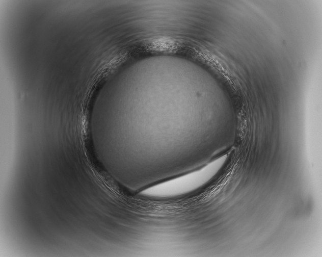 X0000093400597200710260919