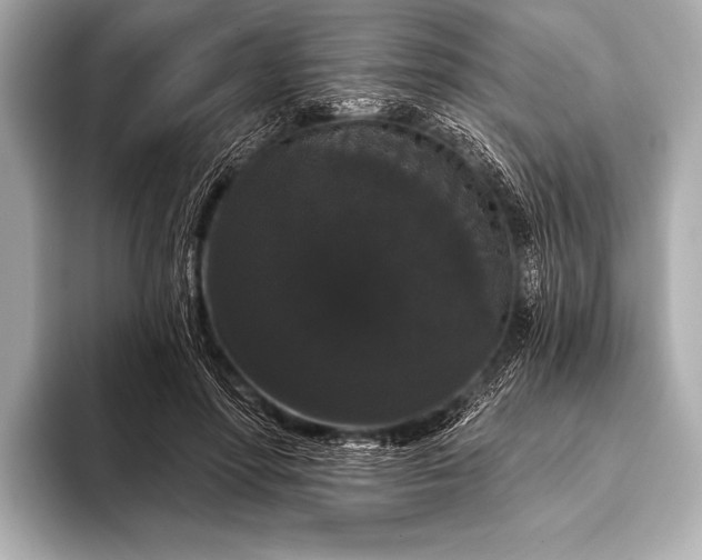 X0000093400598200710260919