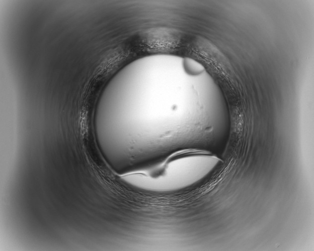 X0000093400599200710260919