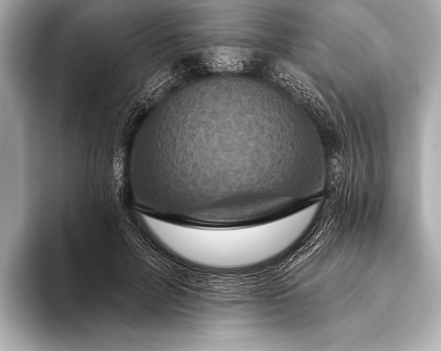 X0000093400600200710260919