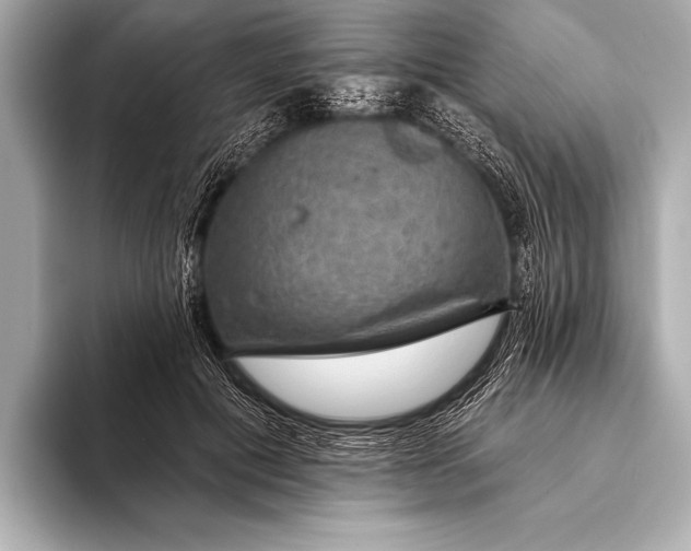 X0000093400601200710260919