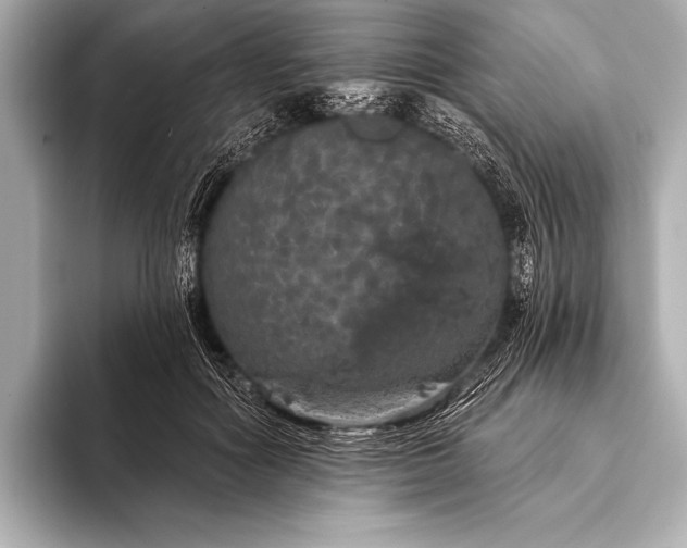 X0000093400602200710260919