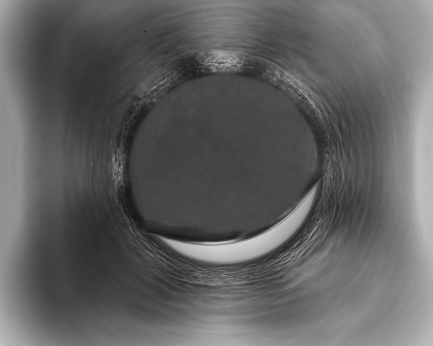 X0000093400604200710260919