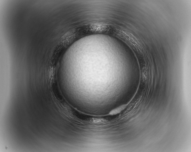 X0000093400605200710260919