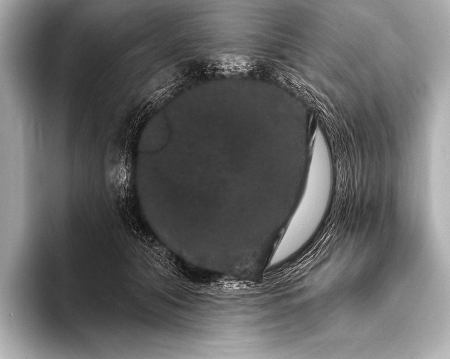 X0000093400608200710260919