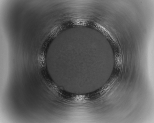 X0000093400609200710260919