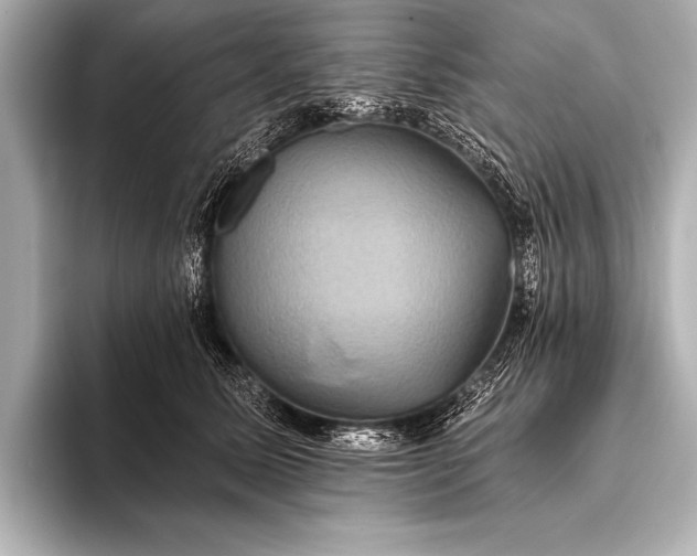 X0000093400611200710260919