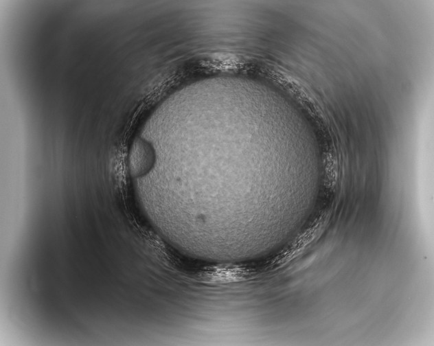 X0000093400612200710260919