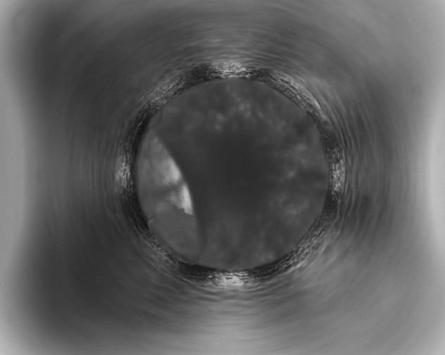 X0000093400618200710260918