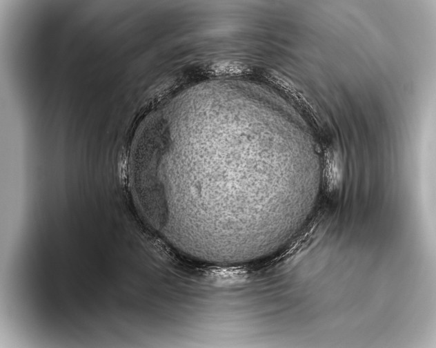 X0000093400619200710260918