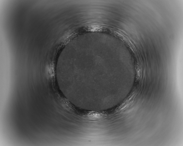 X0000093400620200710260918