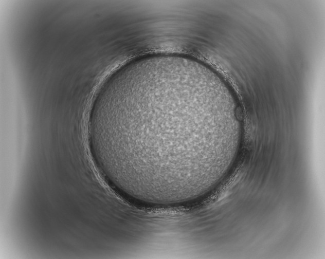 X0000093400625200710260918