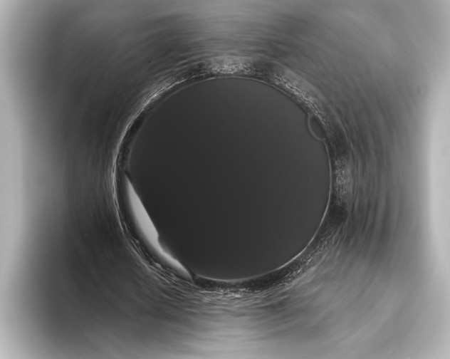 X0000093400626200710260918