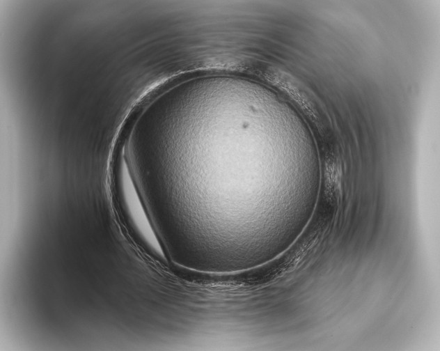 X0000093400628200710260918