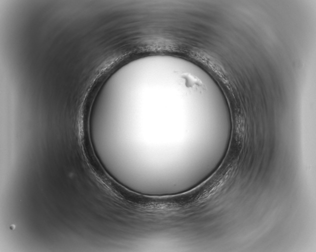 X0000093400629200710260918