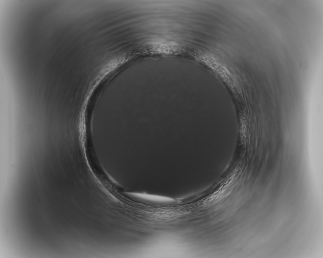 X0000093400630200710260918