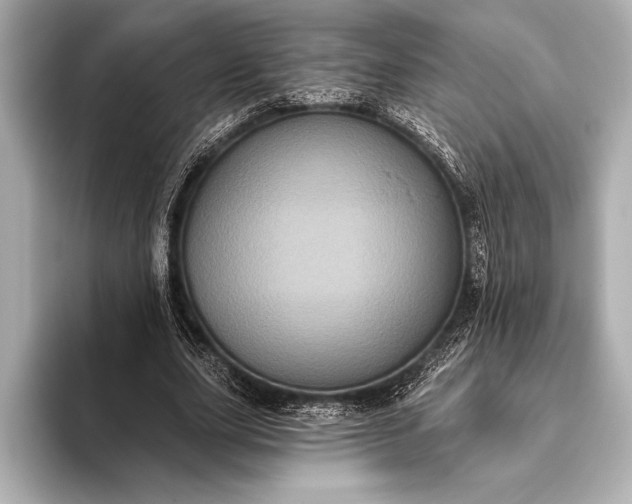 X0000093400631200710260918