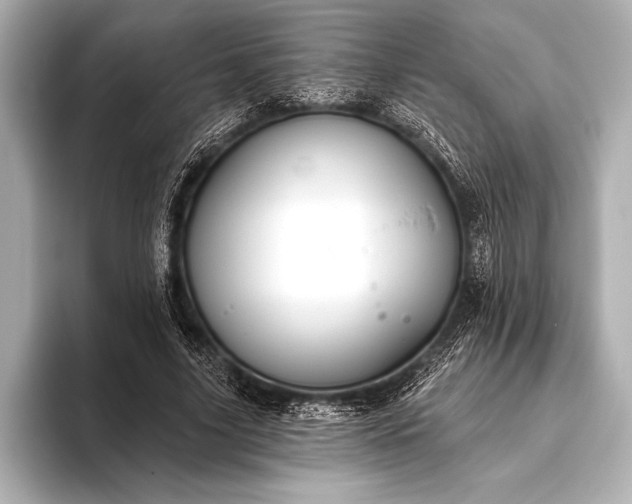 X0000093400635200710260918