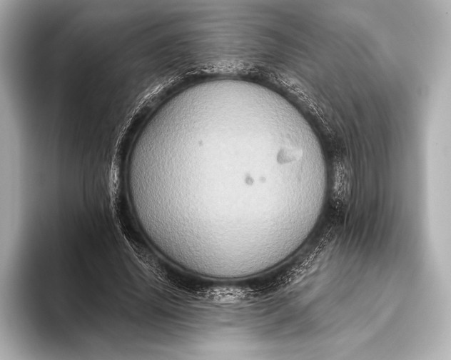 X0000093400636200710260918