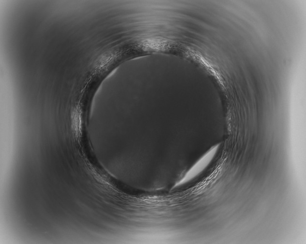 X0000093400637200710260918