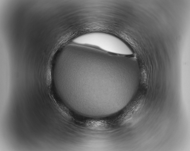 X0000093400638200710260918