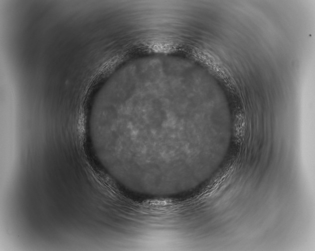 X0000093400639200710260918