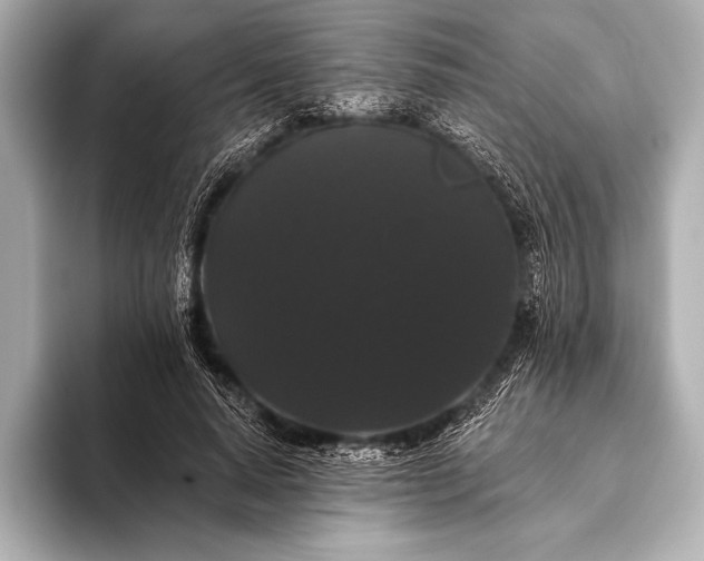 X0000093400640200710260918