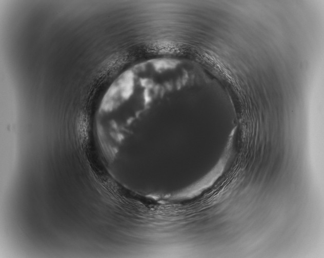 X0000093400643200710260918