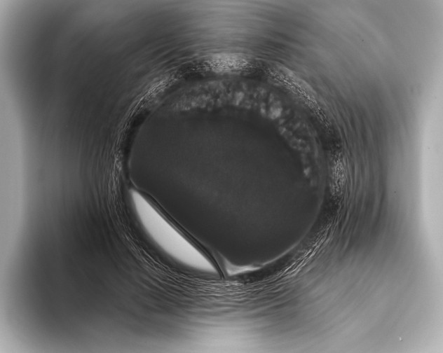 X0000093400644200710260918