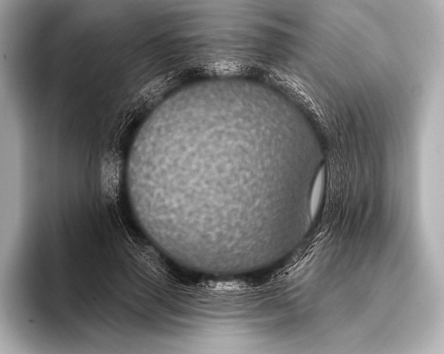 X0000093400645200710260918