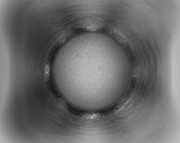 X0000093400646200710260918