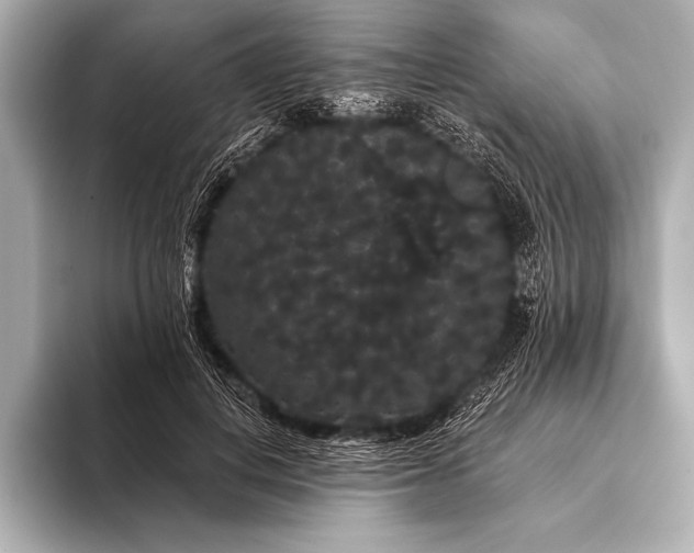 X0000093400648200710260918