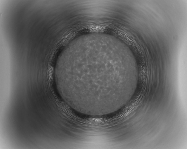 X0000093400649200710260918