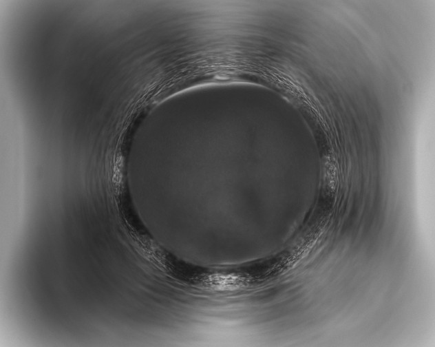 X0000093400650200710260918