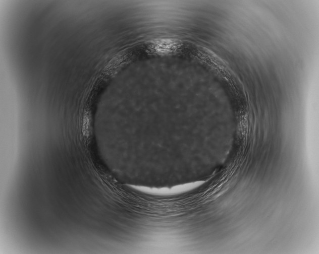 X0000093400651200710260918