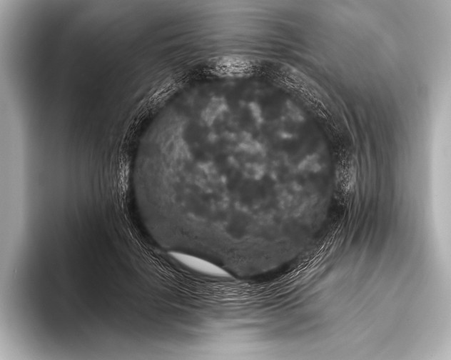 X0000093400652200710260918