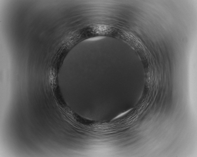 X0000093400653200710260918