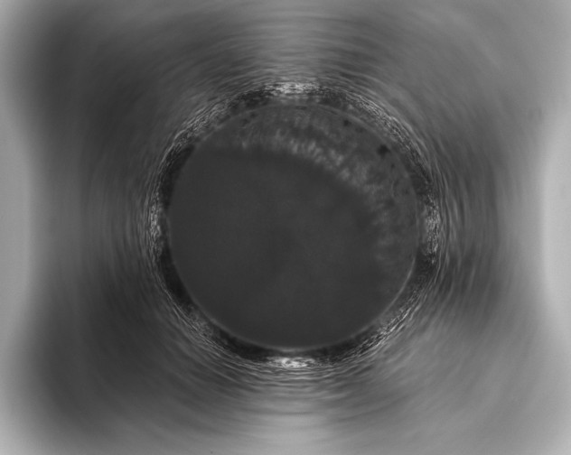 X0000093400654200710260918