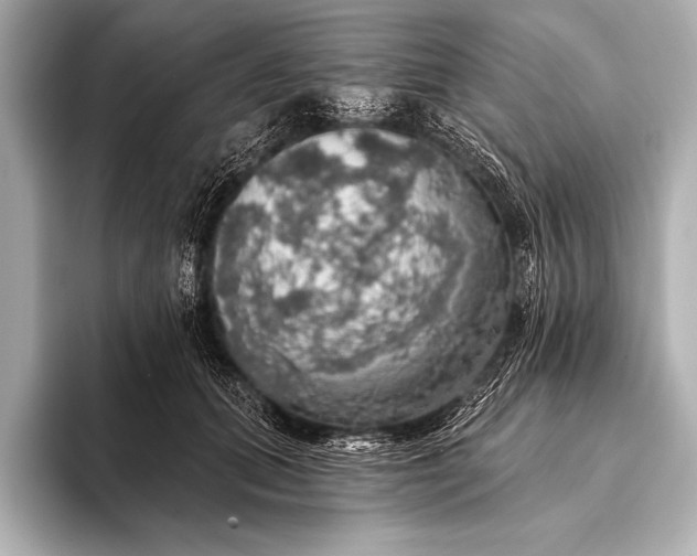 X0000093400655200710260918