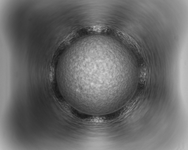 X0000093400656200710260918