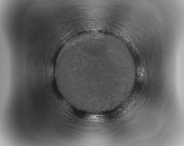 X0000093400657200710260918