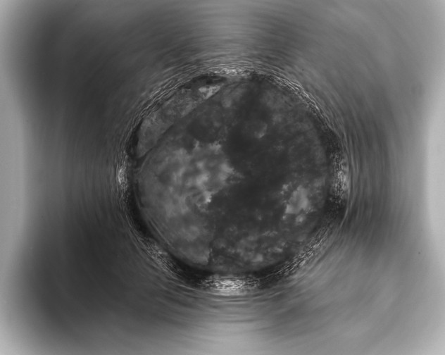 X0000093400658200710260918