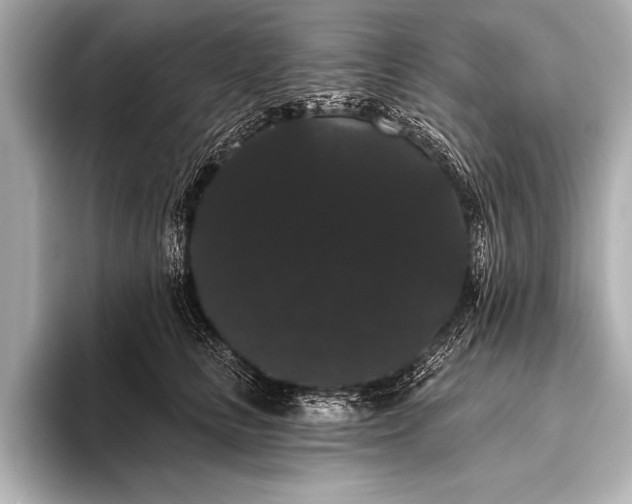 X0000093400661200710260918