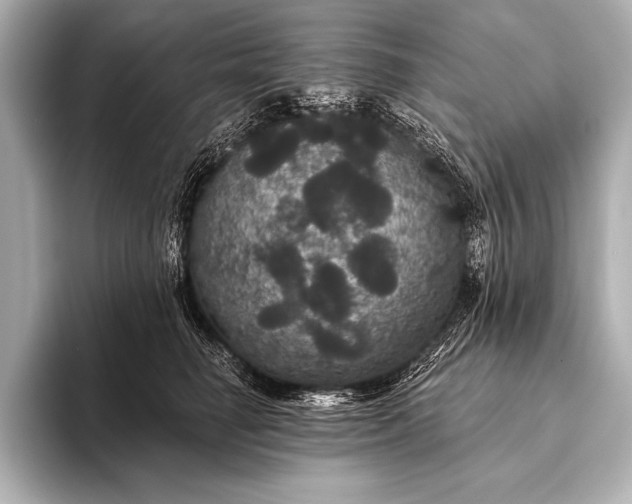 X0000093400662200710260918