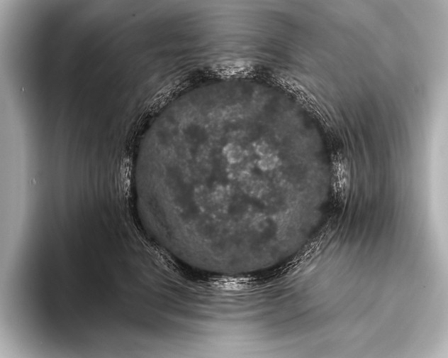 X0000093400664200710260918