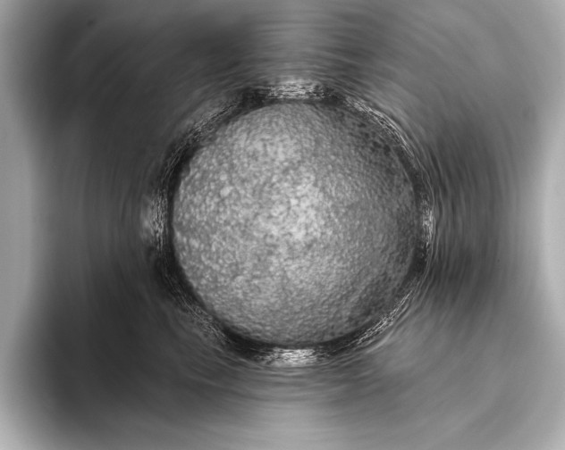 X0000093400665200710260918