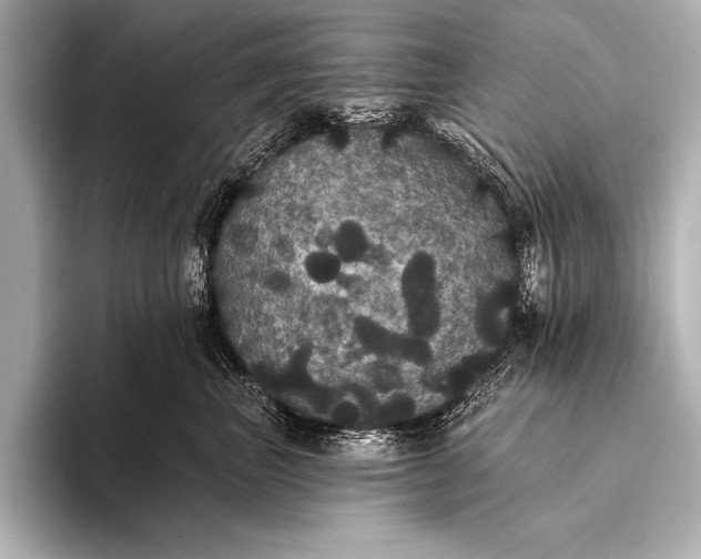 X0000093400667200710260918