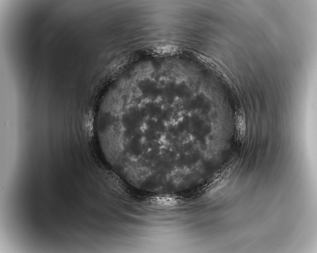 X0000093400668200710260918