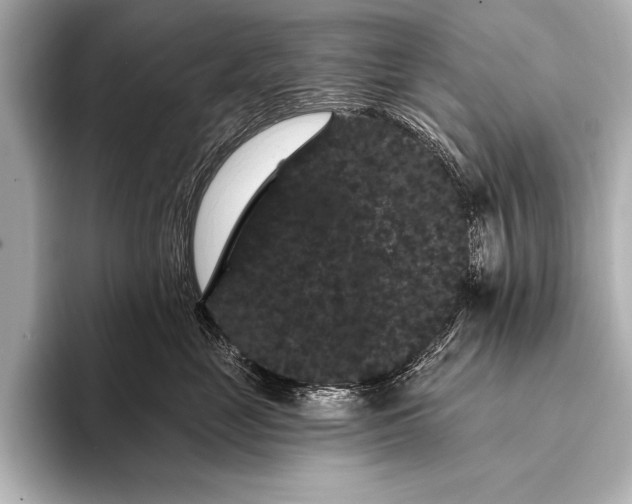 X0000093400669200710260918