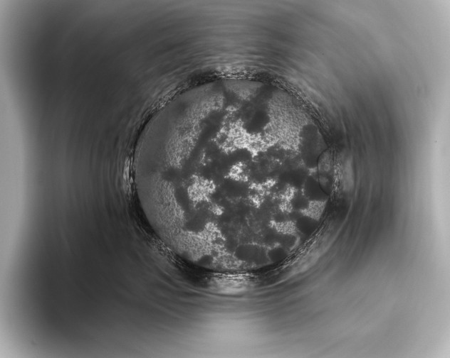 X0000093400671200710260918